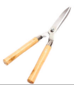 Garden Scissors